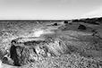 By the Shore 7